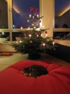 weihnachtsmiez