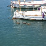 Mallorca_2011_22